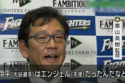 ダントツ最下位日ハム（２４勝３８敗）←何がどうなってこうなってるの？