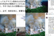 ローラやブルゾンちえみも拡散。アマゾン火災で世界に「無関係」な写真が広がる