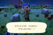 【あつまれどうぶつの森】もしかして疑似タランチュラ島規制された？沸かなくなった…