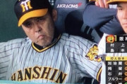 阪神岡田監督の戦う顔ｗｗｗｗｗｗｗｗｗｗｗｗｗｗｗｗｗ