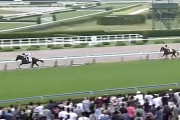 新馬戦がピークだった馬