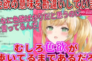 【にじさんじ】立伝都々、色欲の意味を勘違いしてとんでもないことを言い出す
