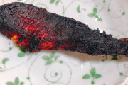 【悲報】ワイ、鮭を焼いていたことを忘れてしまい、灼熱の鮭みたいなのが出来上がってしまう