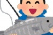 【アカン…】福島産の魚に”異変”発生…！！！！！！！！