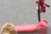 イヌが小さなキックボードに飛び乗った。どいたどいた～！ → この走りです…