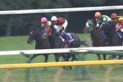 【競馬/天皇賞秋】ルメールは何故エイシンヒカリの邪魔をしたのか？