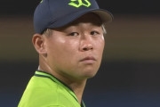 田口麗斗(27)防御率1.76 21セーブ 奪三振率10.86←こいつが今年のFAの目玉な件