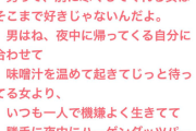 【画像】男が「本当に好きな女」がこれらしいんだが、お前らどう思う？