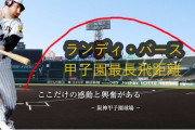 ホームラン歴代飛距離ランキングｗｗｙｗｗｙｗｗｙｗｗ