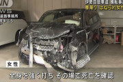 夜の高速道路で単独事故を起こした女性、車を降りた後3台にはねられ死亡