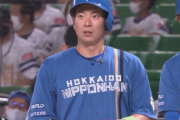 日ハム松本剛さん、このままいけばレジェンド入りも狙えそう
