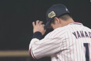 【動画】ヤクルト山田哲人、座り込んだままの送球ナイスプレー！