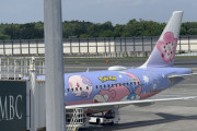 成田空港にポケモンがいるらしい