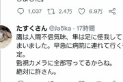 【驚愕】小学一年生さん、猛禽類相手に無双してしまう…