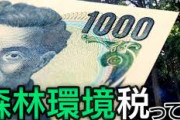 【速報】1人1000円取られる『森林環境税』、使い道が酷すぎて批判殺到…