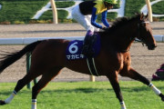 【2016年ダービー馬】マカヒキさん（8歳）　来年も現役続行か