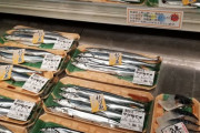 【画像】今年の秋刀魚、値上がりの上にサイズがイワシになる