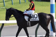 ダービー馬シャフリヤール藤原英調教師「中学生から高校生になった」