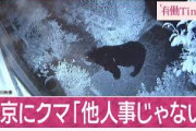 【緊急】『東京クマ』2日連続で見つかる