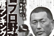 野球は“野蛮”なスポーツなのか？　殴る蹴るの暴行や性犯罪、違法賭博　軍隊色を濃く残した「野球界は犯罪の温床」とも