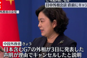【終国】中国父さん「日中外相会談やーめた！だって日本はG7やEUと結託して非難してくるんだもん！」←エッ!?Σ(ﾟДﾟ)