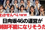 日向坂46の運営が制御不能になりそうだ︎正源司陽子は何故、人気があるのか【日向坂・日向坂で会いましょう】