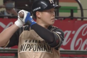 日ハム高濱のバッティングｗｗｗｗｗｗｗｗｗｗ