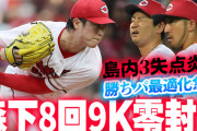 カープ島内3試合連続失点←勝ちパ最適化急務【反省会】