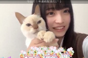 【SKE48】はっぴーさんは大人しいなあ