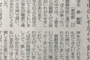 【悲報】朝鮮学校の小学生「登校中に日本人のおじさん達が嫌がらせをしてくる」