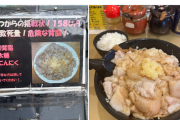 【画像】背脂致死量ラーメン、こういうのでいいんだよ