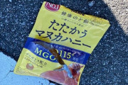 クマと20代女性が運転する原付バイクが衝突　袋に入っていた"はちみつ味のど飴"が食べられる