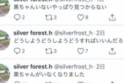 【悲報】ツイッタラー「飼ってるアヒルが野良猫に攫われた...許さない！」