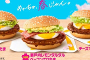 【超悲報】マクドナルド、卵不足で「てりたま」シリーズを一部店舗で販売休止へ・・・