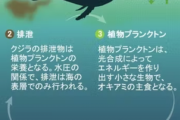ドイツ「象を狩るな」ボツワナ「増えすぎだ、2万頭送るから共存して見せい」[4/4]