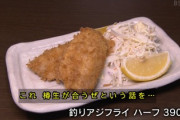 アジのフライには醤油？ソース？マヨネーズ？？？