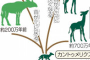 反進化論者「進化途中の化石が出てこないのは？」ワイ「(いったれ！ダーウィン)」ダーウィン「…」