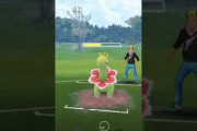 【ポケモンGO】マイナー過ぎずガチ過ぎないけどたまに見かけるあのポケモン、使ってる人いる？【スーパーリーグ】