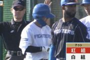 【日ハム紅白戦】白組・上川畑、ダメ押しのタイムリー！
