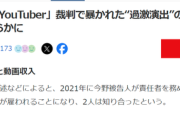 【悲報】私人逮捕系YouTuber、5か月で約946万円の収入があったことが判明するｗｗｗｗ