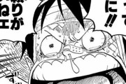 【ワンピース】「モンキー・D・ルフィ」とか言う意外と湿度の高いキャラｗｗｗ