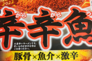 カップ麺の辛辛魚を早速食べたぞ！