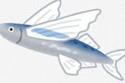 海に生息する「トビウオ」とかいう普通に1～300mくらい飛ぶやべー魚
