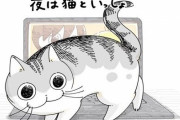 Twitterで人気の猫漫画「夜は猫といっしょ」が2022年夏にアニメ化決定！