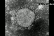 感染経路不明、市中感染か？静岡で変異ウィルスへの感染者見つかる