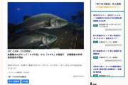 【魚】魚類最大のグループ「スズキ目」から『スズキ』が脱退か