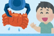 数年前まで動物虐待で話題になった『伊勢エビキャッチャー』ってあったやん