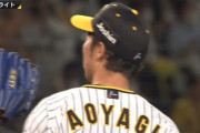 青柳晃洋 21試合 145.1回 12勝3敗 1.86