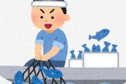 漁師になって成功したけど、質問ある？