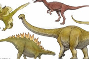 ヒトカス「人間ってガチで覇権だわw」恐竜「1億6000万年」